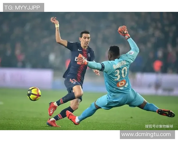 法国足球队的辉煌历程与未来展望:从历史传奇到现代竞技的蜕变之路